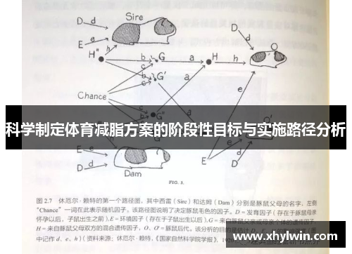 科学制定体育减脂方案的阶段性目标与实施路径分析