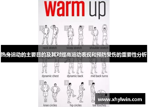热身运动的主要目的及其对提高运动表现和预防受伤的重要性分析
