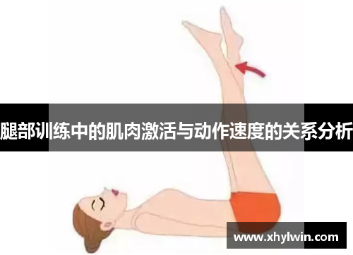腿部训练中的肌肉激活与动作速度的关系分析